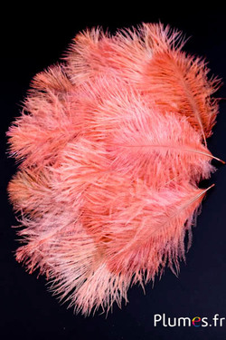 Struzzo barbules - 8-15 cm - rosso